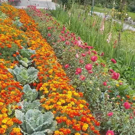 House Vodice Na Lazu Lodge