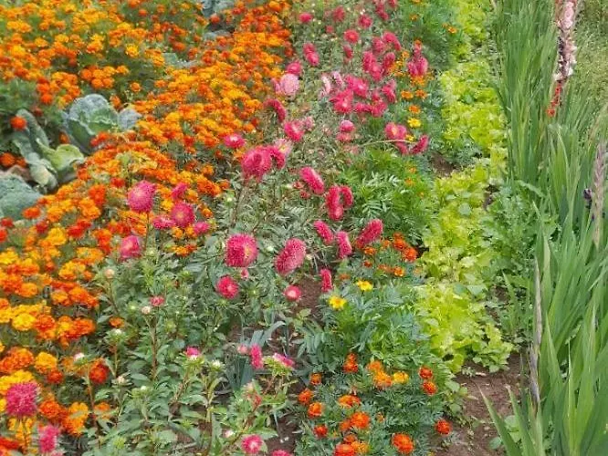 Lodge House Vodice Na Lazu *