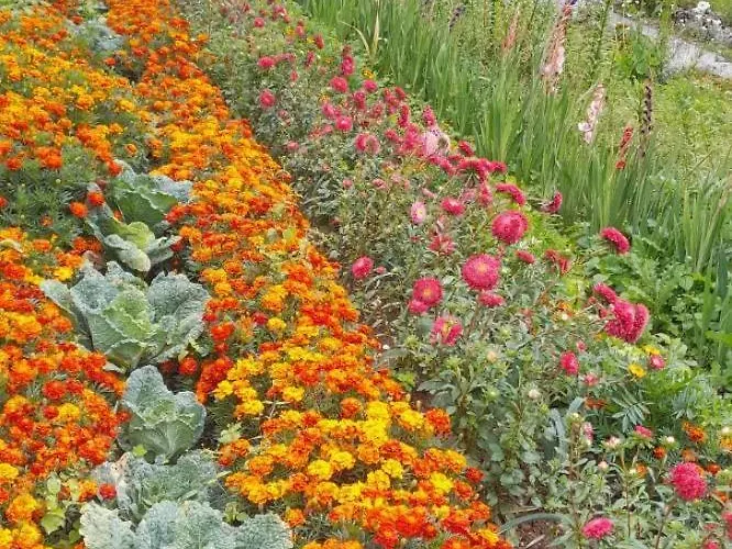 House Vodice Na Lazu Lodge